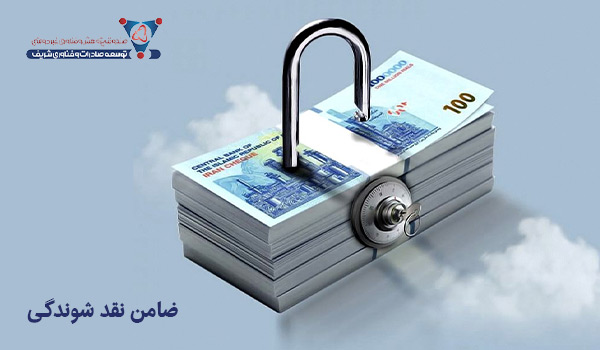 ضامن نقد شوندگی